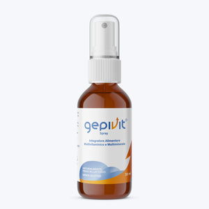 Gepivit Energy Spray