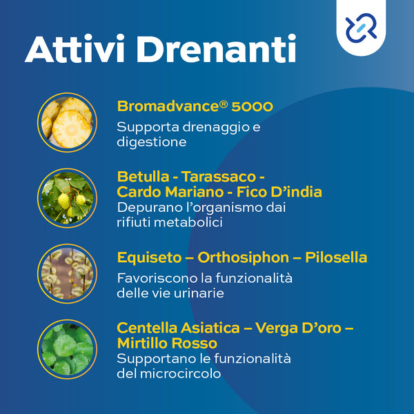 Bromilase Fast Dren